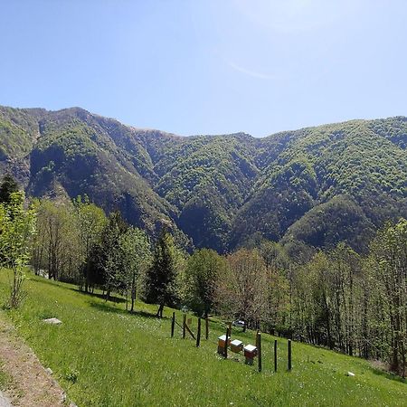 Ostello Valgrande Cicogna Extérieur photo