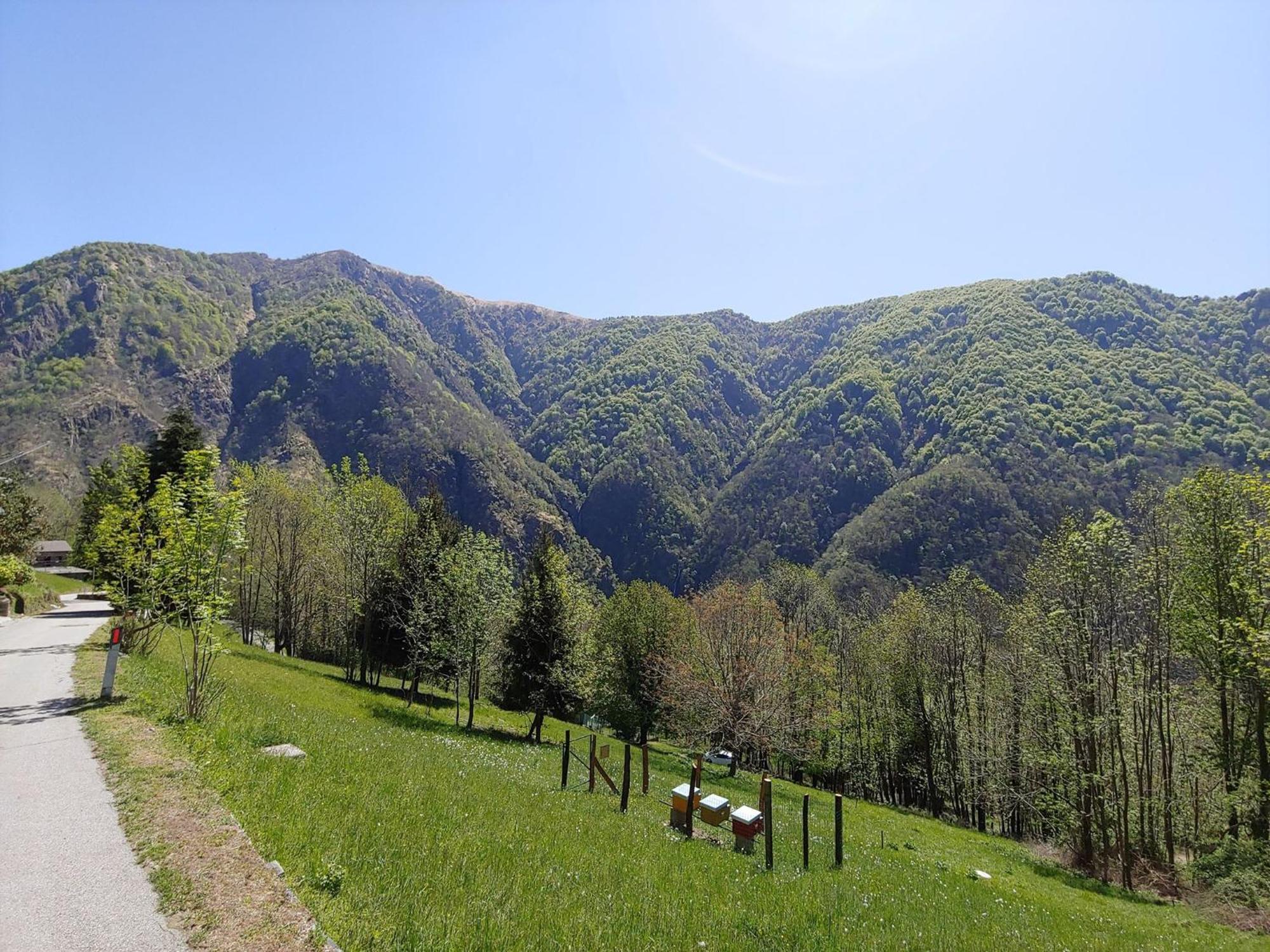 Ostello Valgrande Cicogna Extérieur photo